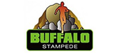 Buffalo Stampede
