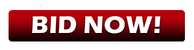 bid-now-button